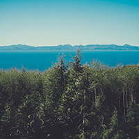 网页在线DDOS压力测试